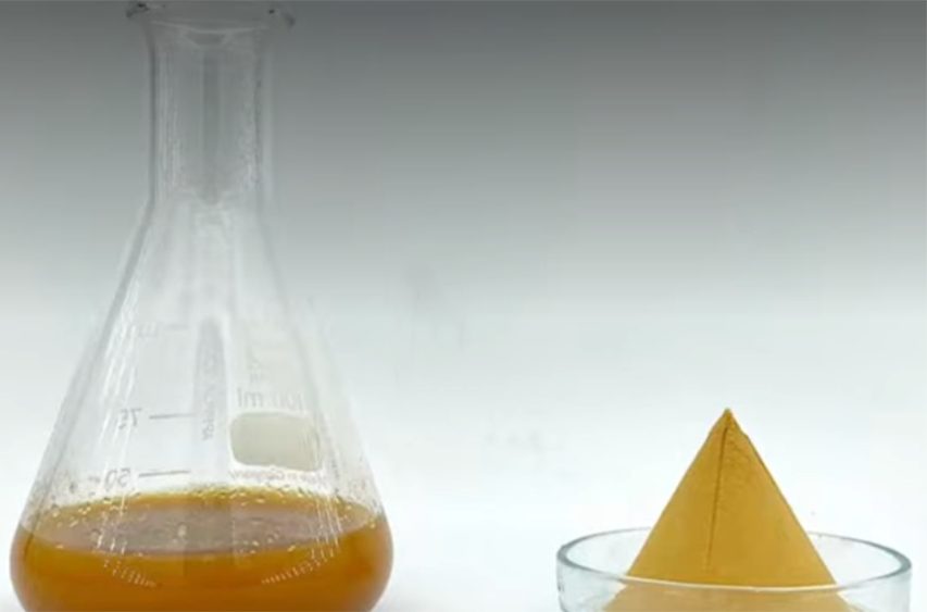 Crude Extract
